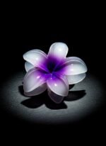 FLOWER KECHAR PURPLE